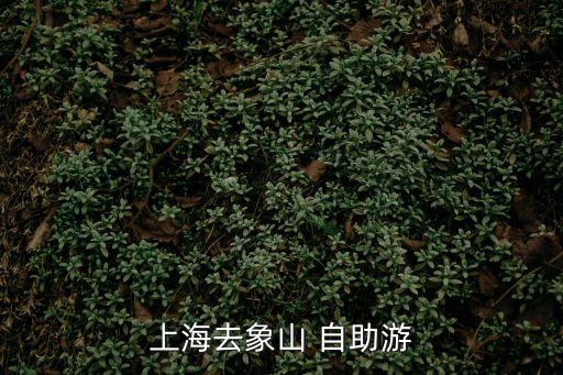 上海去象山 自助游