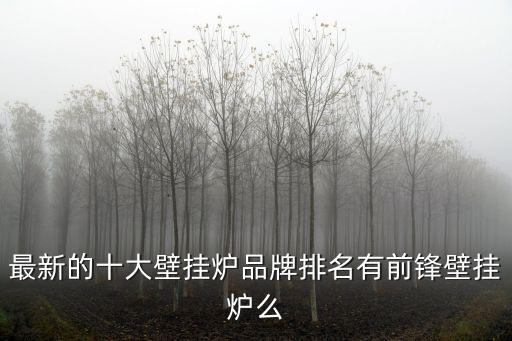 壁掛爐品牌十大排名榜，最新的十大壁掛爐品牌排名有前鋒壁掛爐么