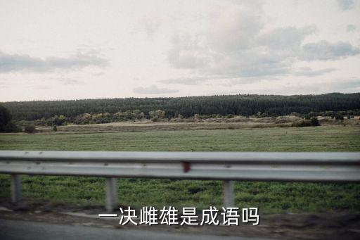 決一雌雄，決一雌雄是什么意思