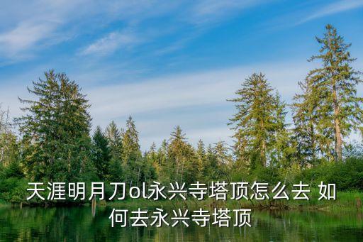 永興寺，天涯明月刀ol永興寺塔頂怎么去 如何去永興寺塔頂