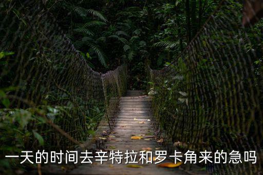 一天的時間去辛特拉和羅卡角來的急嗎