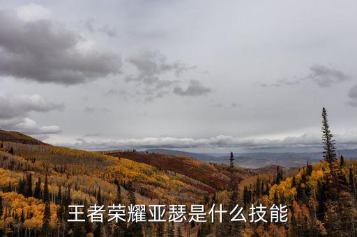 王者榮耀亞瑟是什么技能