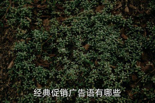 經(jīng)典促銷廣告語(yǔ)有哪些