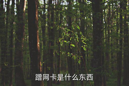 蹭網卡，蹭網卡是什么東西