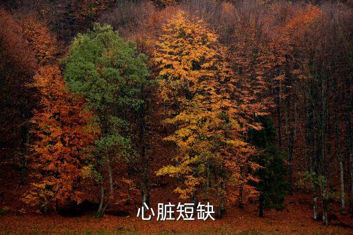 心臟短缺
