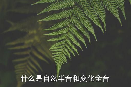 什么是自然半音和變化全音