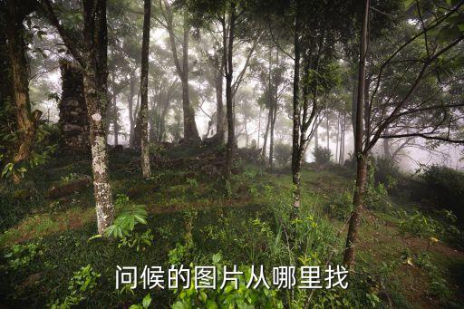 問候的圖片從哪里找