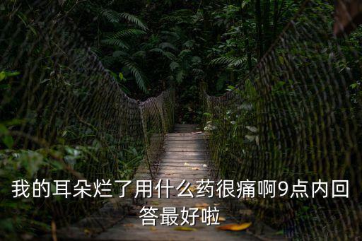 我的耳朵爛了用什么藥很痛啊9點內回答最好啦