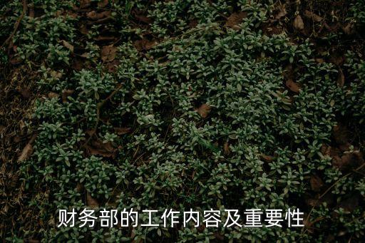 財務部，企業(yè)財務部一般有什么崗位設置