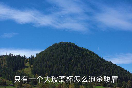 只有一個(gè)大玻璃杯怎么泡金駿眉