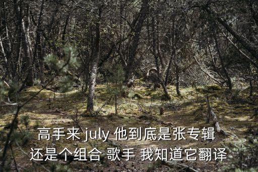 高手來 july 他到底是張專輯 還是個組合 歌手 我知道它翻譯