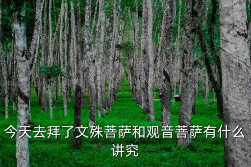 拜菩薩有什么講究，到寺廟請菩薩有什么講究