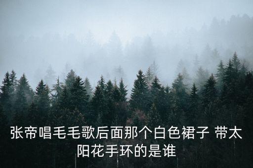 張帝毛毛歌，找一首歌 是臺灣歌手張帝自編自唱的 里面歌詞有毛毛