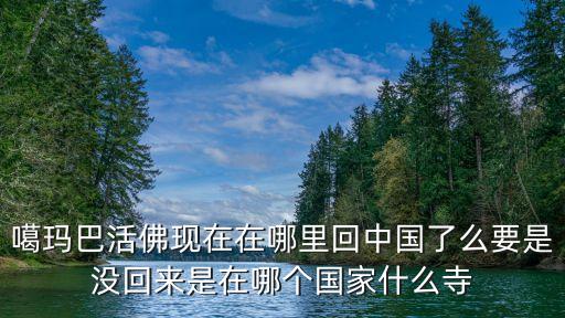 噶瑪巴活佛現(xiàn)在在哪里回中國(guó)了么要是沒回來(lái)是在哪個(gè)國(guó)家什么寺