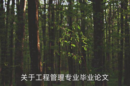 工程管理專業(yè)畢業(yè)論文，工程管理畢業(yè)論文范文