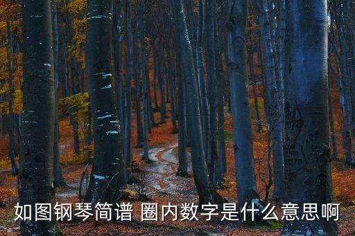鋼琴譜數字，鋼琴音符上有數字是什么意思