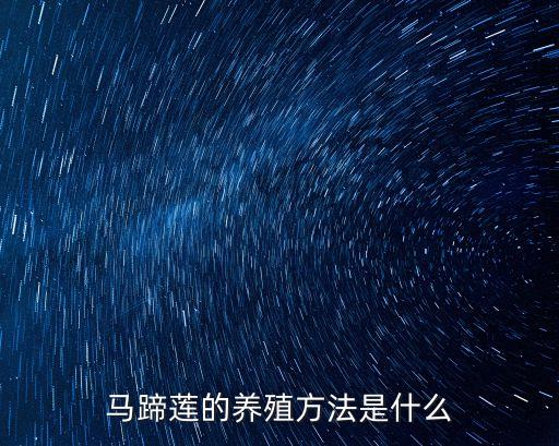 馬蹄蓮怎么養，馬蹄蓮的養殖方法是什么