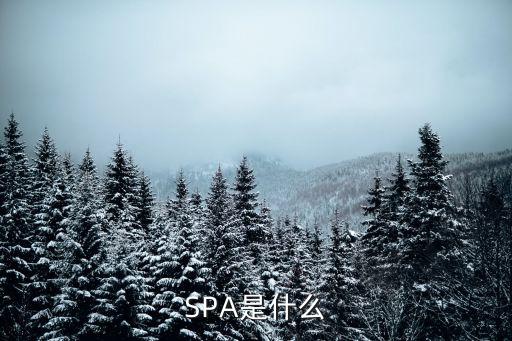 spa，SPA是什么意思
