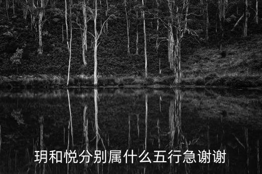 玥和悅分別屬什么五行急謝謝