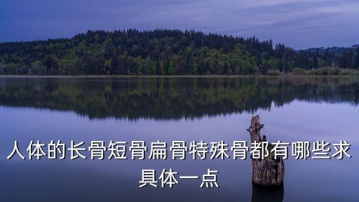 人體的長骨短骨扁骨特殊骨都有哪些求具體一點
