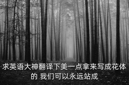 求英語大神翻譯下美一點拿來寫成花體的 我們可以永遠站成