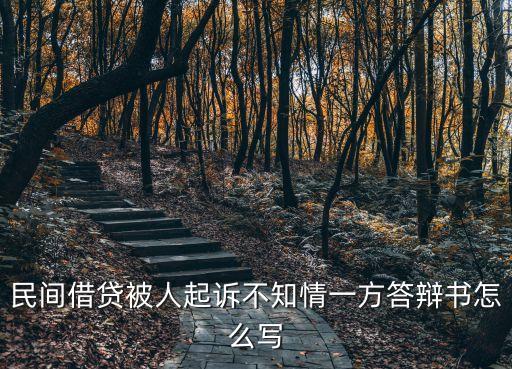 民間借貸被人起訴不知情一方答辯書怎么寫