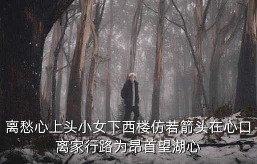 竹林木屋，竹林小屋兩人對飲唐朝 一首古詩