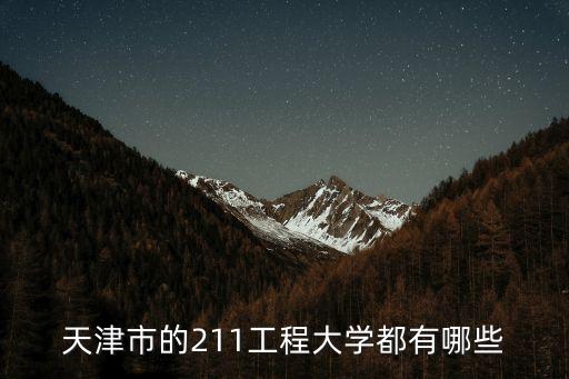 天津的211大學，天津有多少985或211大學