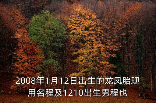 2008年1月12日出生的龍鳳胎現用名程及1210出生男程也