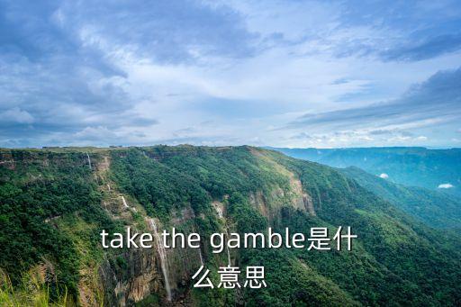 take the gamble是什么意思