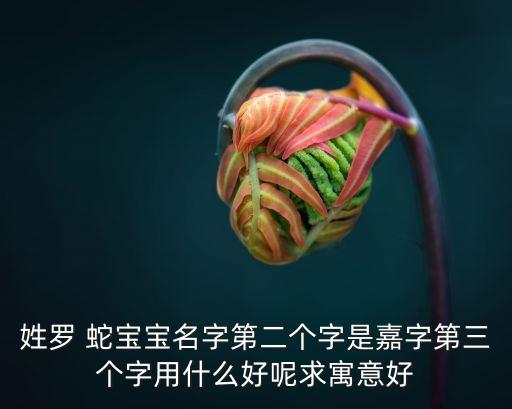 姓羅 蛇寶寶名字第二個字是嘉字第三個字用什么好呢求寓意好