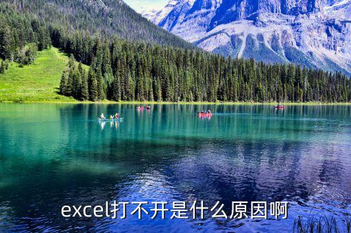 excel打不開是什么原因啊