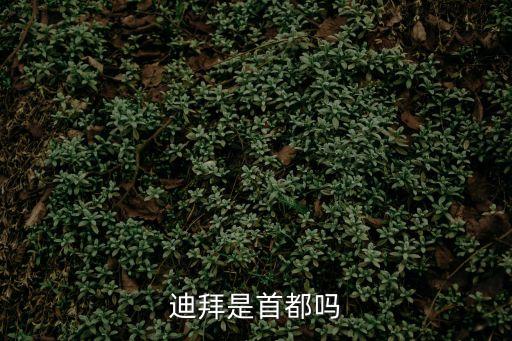 迪拜的首都，迪拜是首都嗎