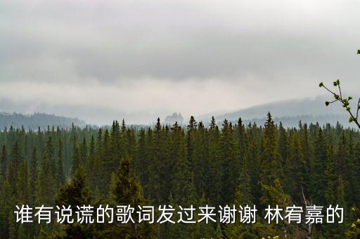 誰有說謊的歌詞發過來謝謝 林宥嘉的