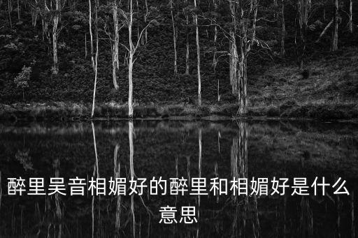 醉里吳音相媚好的醉里和相媚好是什么意思