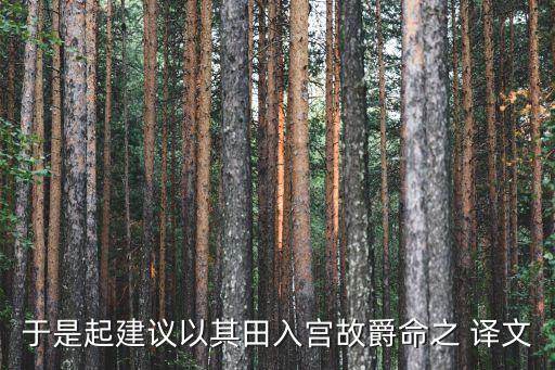 丙舍，于是起建議以其田入宮故爵命之 譯文