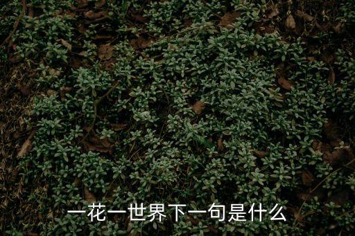 一花一世界，一花一世界是什么意思