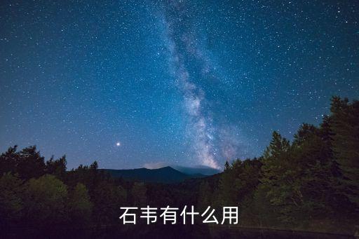 石韋有什么用