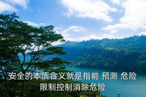 安全的本質含義就是指能 預測 危險限制控制消除危險