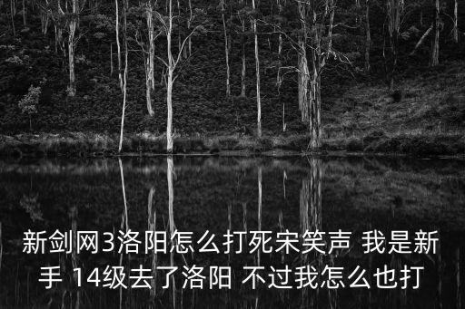 新劍網3洛陽怎么打死宋笑聲 我是新手 14級去了洛陽 不過我怎么也打