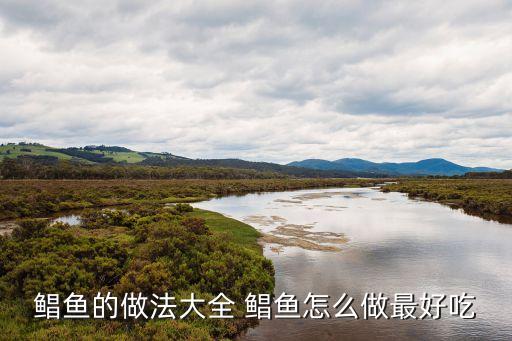 鲅魚的做法大全，鮸魚的做法大全鮸魚怎么做好吃