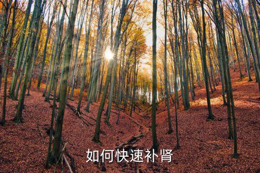 速效補腎，補腎的好方法速效