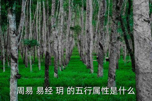 周易 易經 玥 的五行屬性是什么