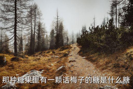 酸梅糖，那種糖果里有一顆話梅子的糖是什么糖