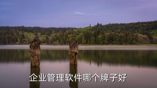 企業管理軟件排名，企業管理軟件哪個好