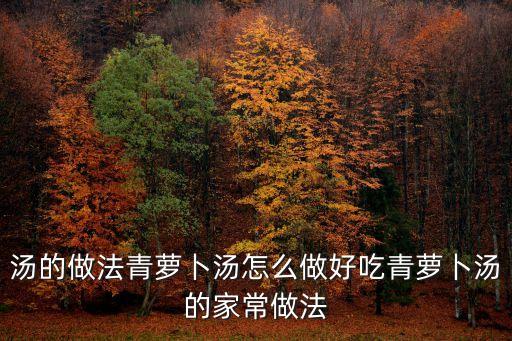 湯的做法青蘿卜湯怎么做好吃青蘿卜湯的家常做法