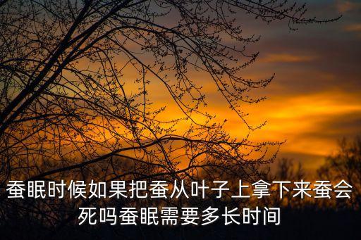 蠶眠時候如果把蠶從葉子上拿下來蠶會死嗎蠶眠需要多長時間