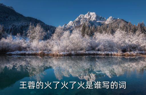 雄赳赳氣昂昂歌詞，雄赳赳 氣昂昂 是什么歌