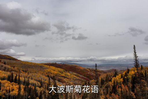 波斯菊花語，大波斯菊花語
