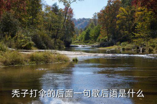 禿子打傘，禿子打傘后面一句怎么填歇后語